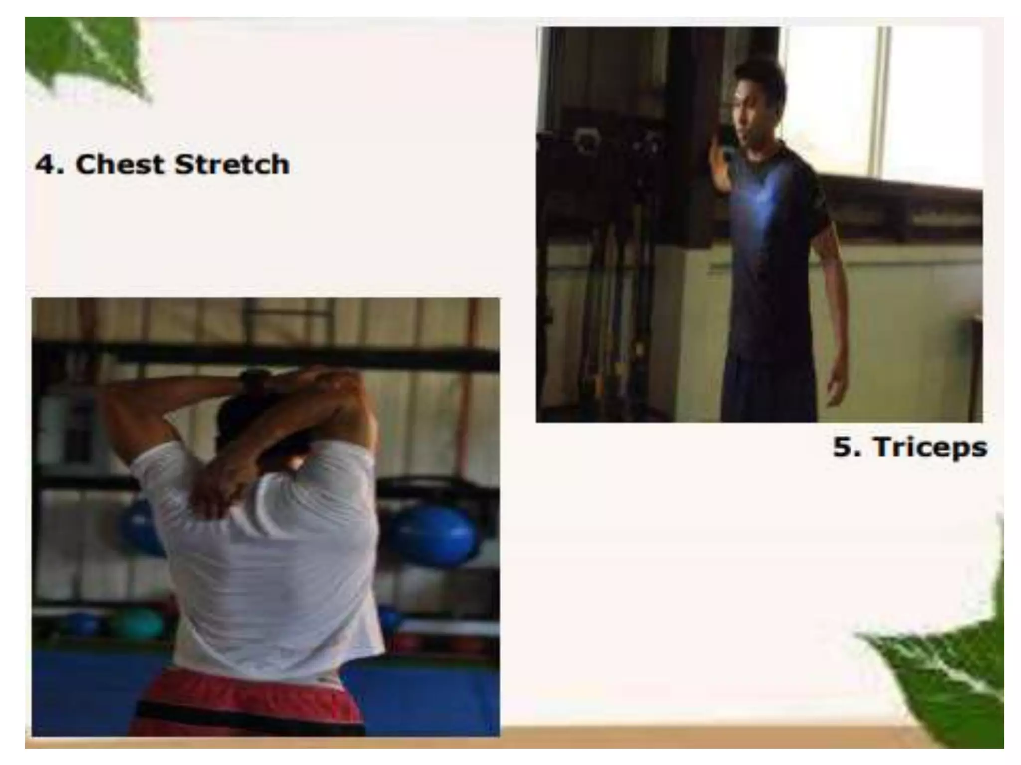 Types and phases of exercise