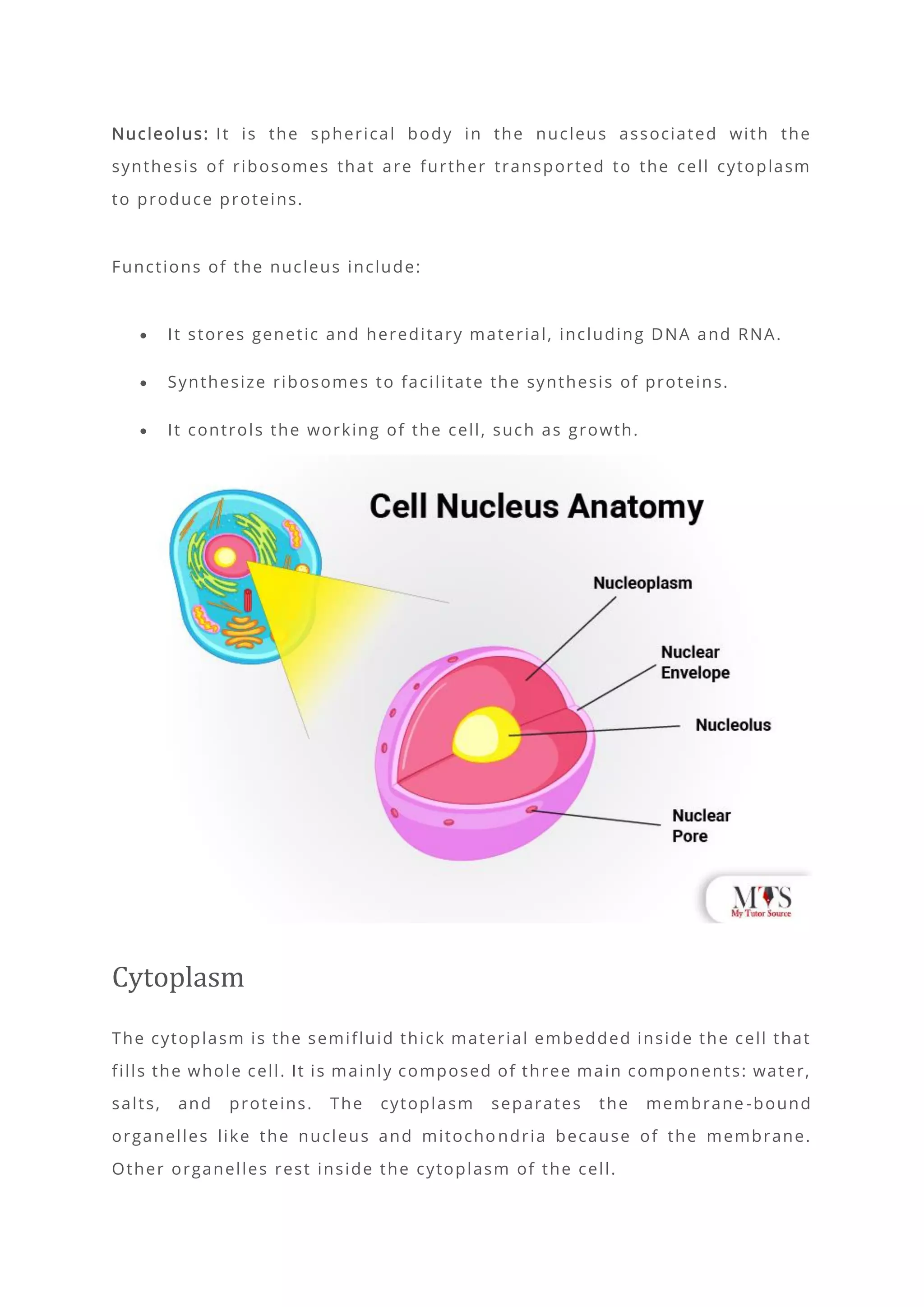 Types and Structure of Animal Cell.pdf