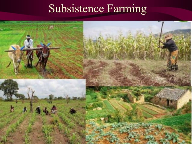 Types Of Farming System