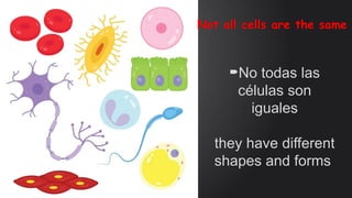 types cells finish.pptx the document of types of cells | PPTX