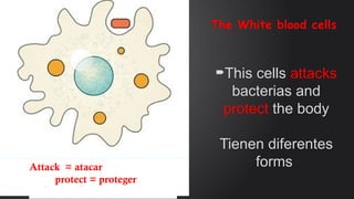 types cells finish.pptx the document of types of cells | PPTX