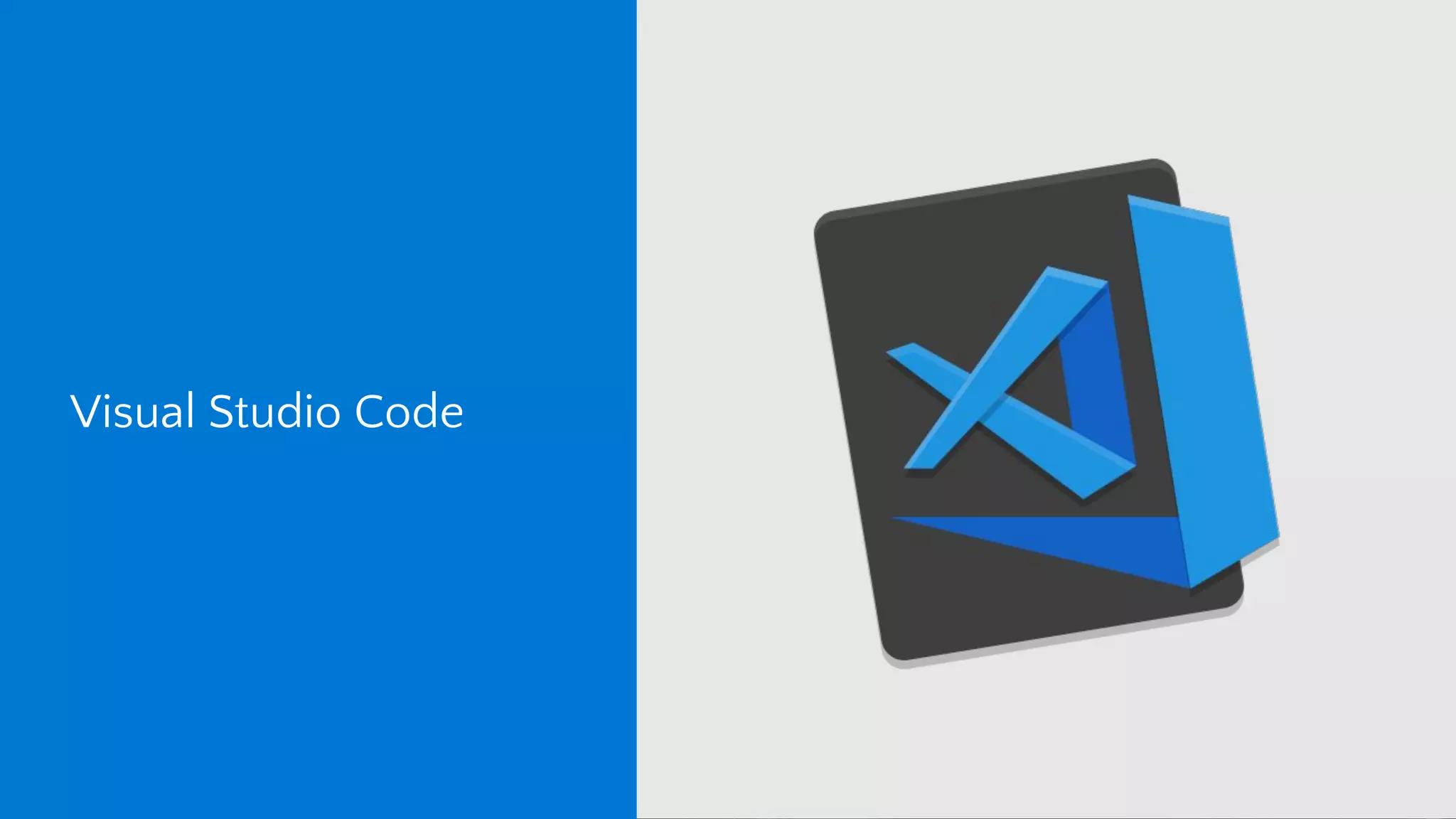 Visual Studio Code 