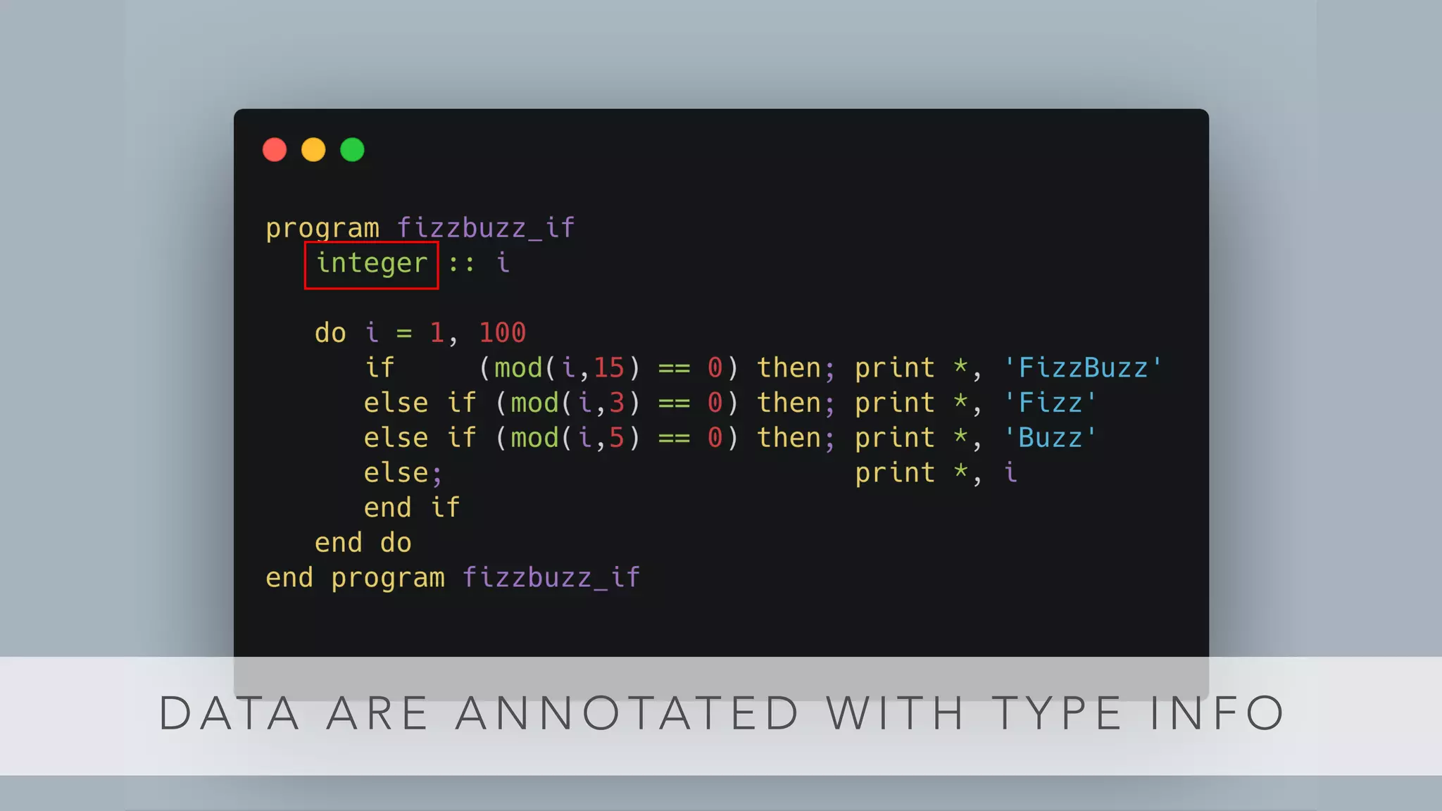 D ATA A R E A N N O TAT E D W I T H T Y P E I N F O
 