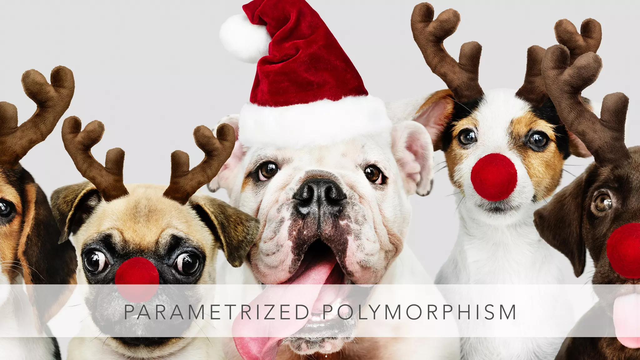 PA R A M E T R I Z E D P O LY M O R P H I S M
 