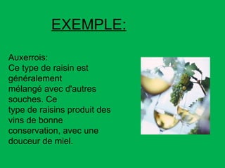 Auxerrois: Ce type de raisin est généralement mélangé avec d'autres souches. Ce type de raisins produit des vins de bonne  conservation, avec une douceur de miel. EXEMPLE: 