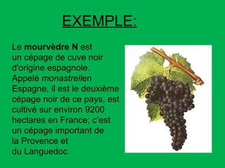 Le  mourvèdre N  est un cépage de cuve noir d'origine espagnole. Appelé  monastrell en Espagne, il est le deuxième cépage noir de ce pays, est cultivé sur environ 9200 hectares en France; c’est un cépage important de la Provence et du Languedoc. EXEMPLE: 