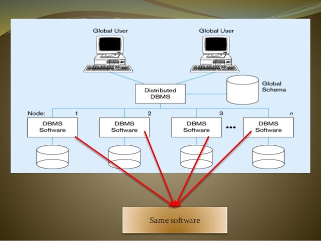 Types and Functions of DDBMS