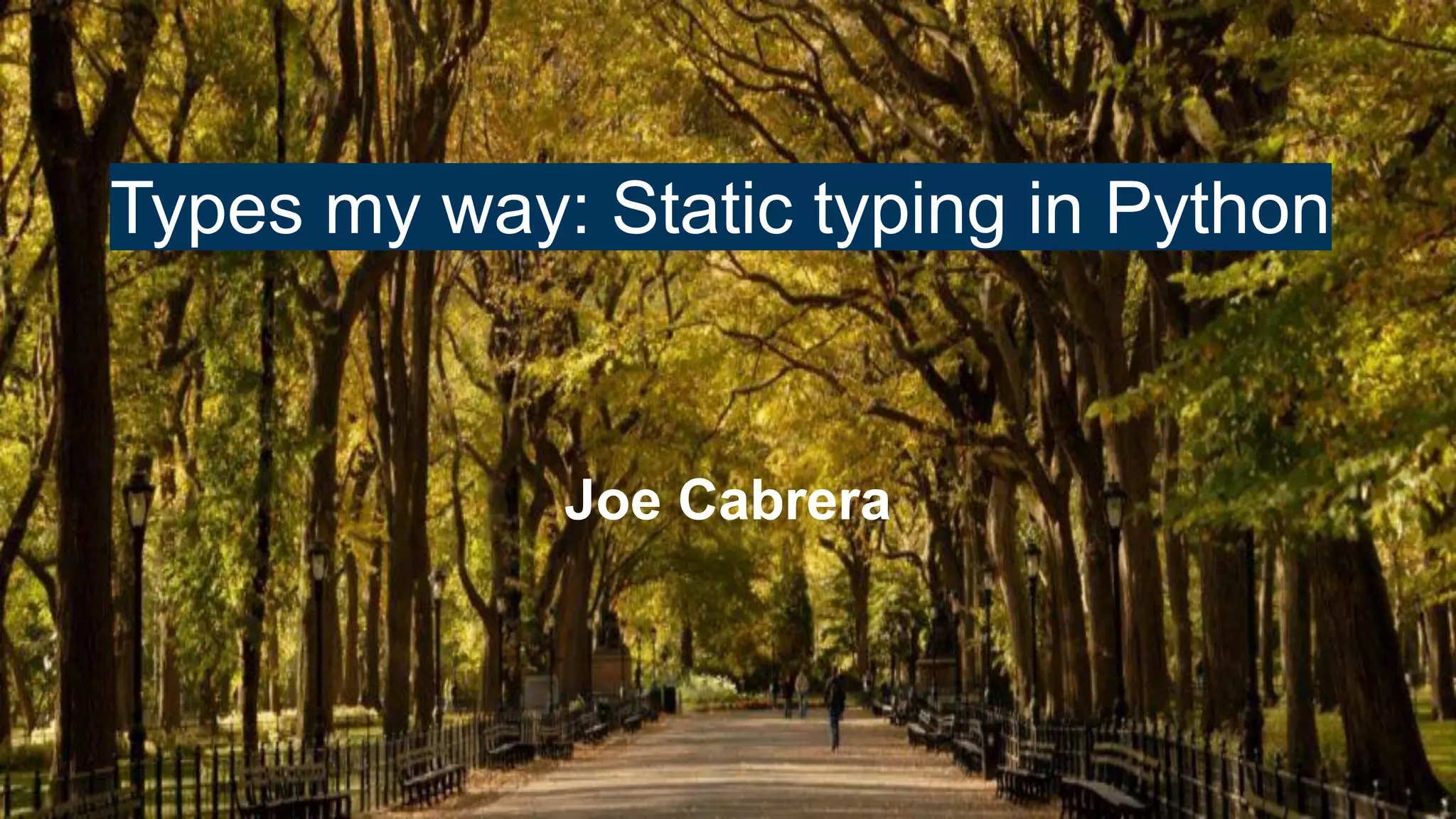 Types my way: Static Typing in Python | PPT