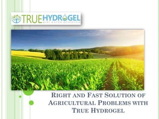 RIGHT AND FAST SOLUTION OF
AGRICULTURAL PROBLEMS WITH
TRUE HYDROGEL
 