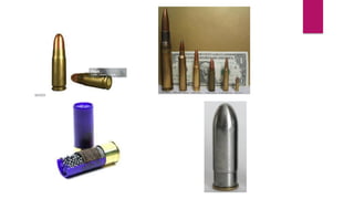 Comprehensive Overview of Ammunition Types and Cartridge ...