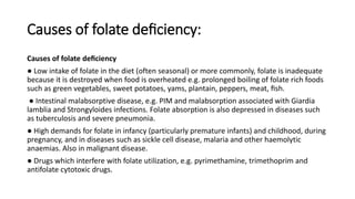 Low Folate Meaning Types of anemias | PPTX