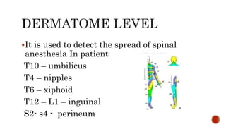 It is used to detect the spread of spinal
anesthesia In patient
T10 – umbilicus
T4 – nipples
T6 – xiphoid
T12 – L1 – inguinal
S2- s4 - perineum
 