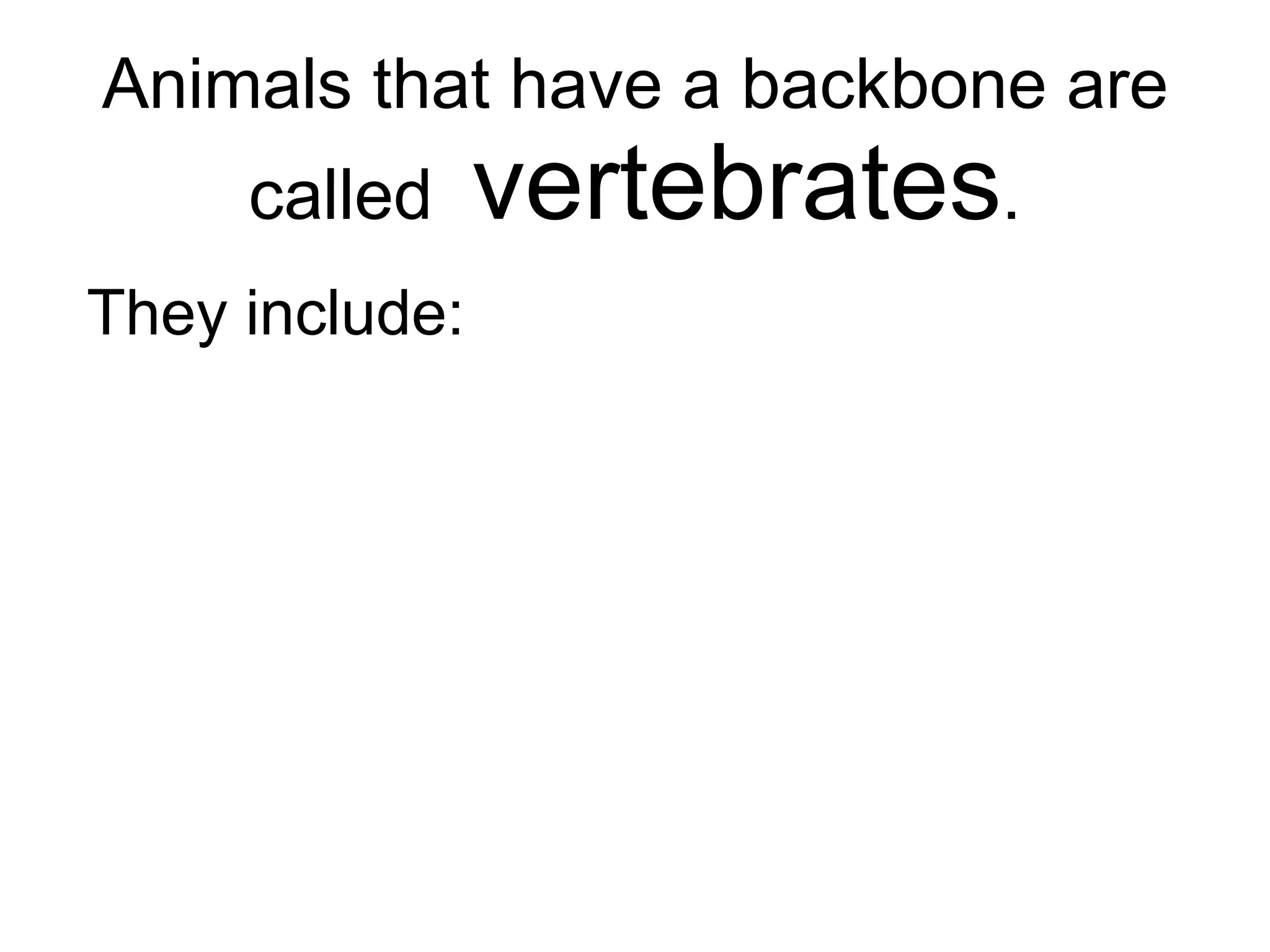 Animals that have a backbone are called  vertebrates . They include: mammals birds fish   reptiles amphibians 