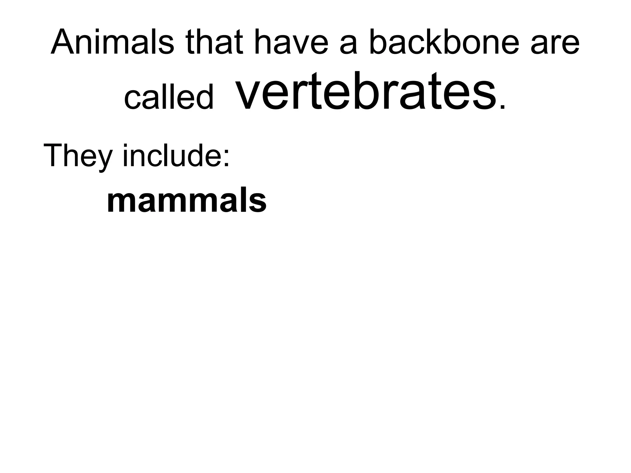 Animals that have a backbone are called  vertebrates . They include: mammals birds fish   reptiles amphibians 