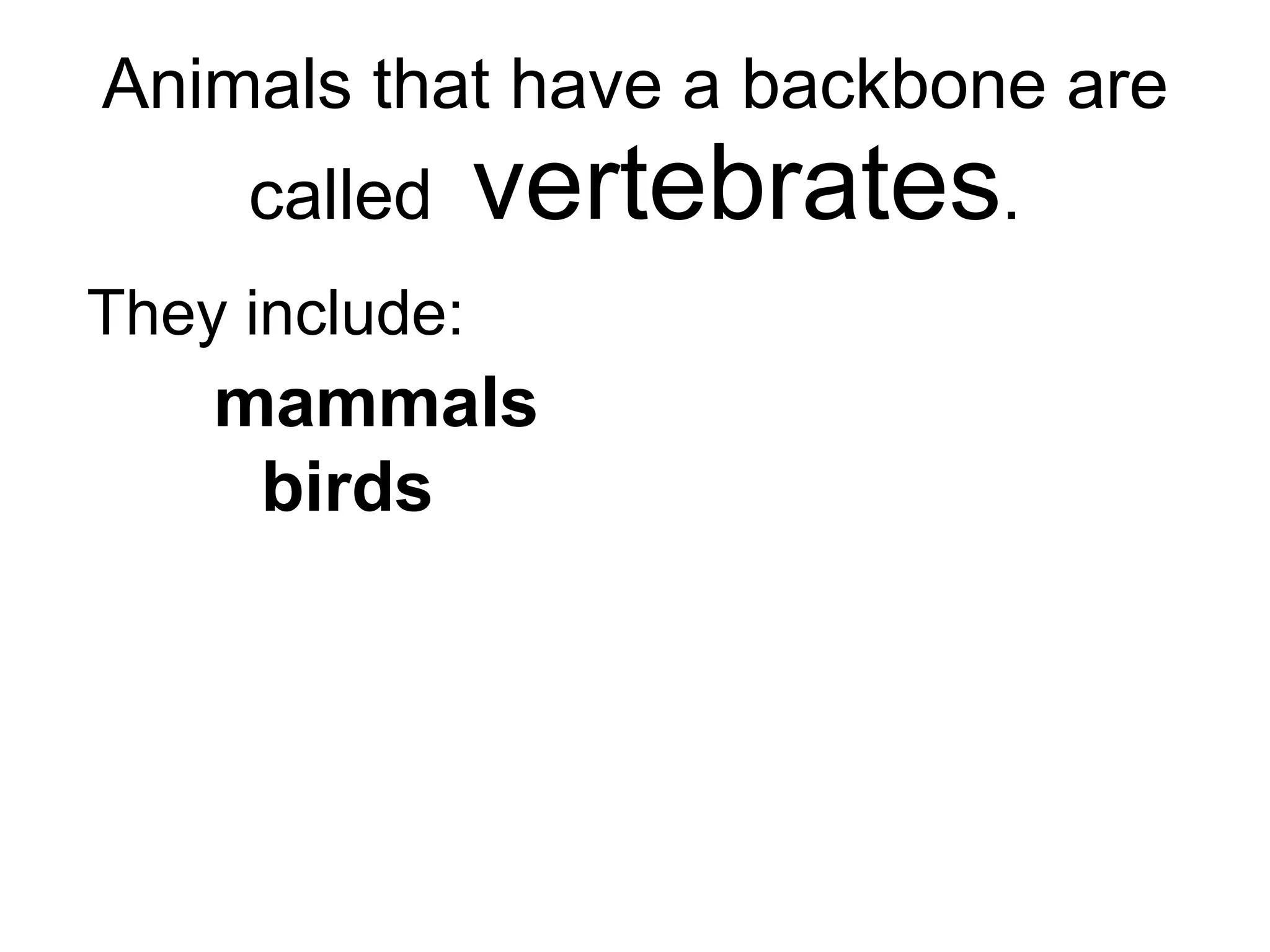 Animals that have a backbone are called  vertebrates . They include: mammals birds fish   reptiles amphibians 