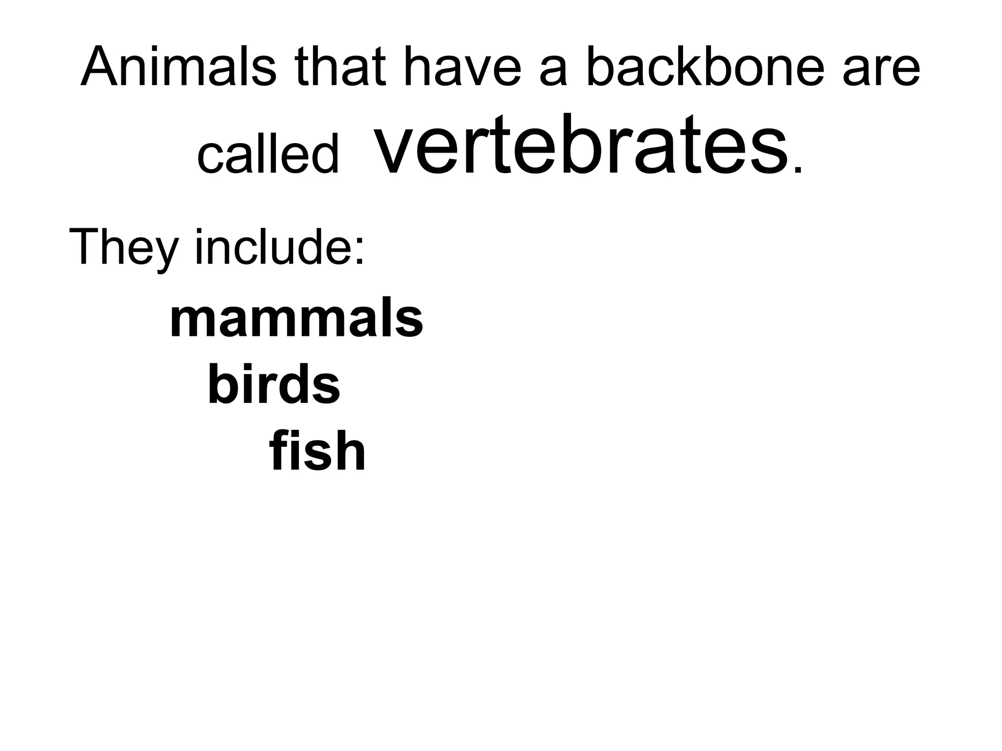Animals that have a backbone are called  vertebrates . They include: mammals birds fish   reptiles amphibians 