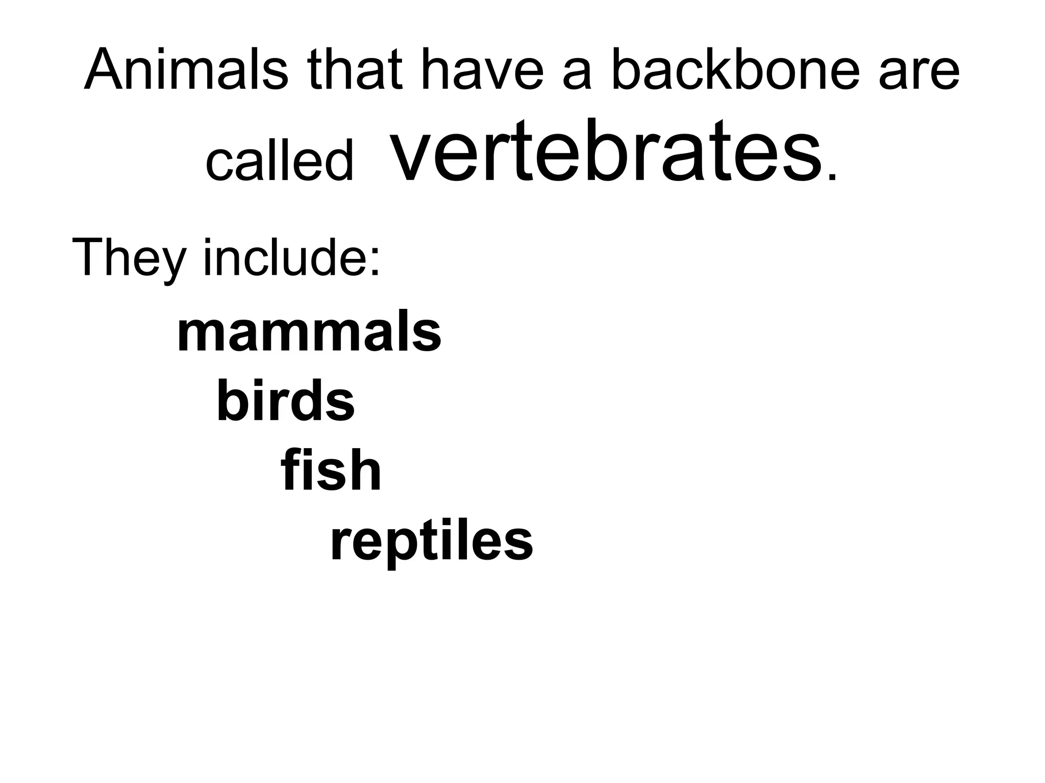 Animals that have a backbone are called  vertebrates . They include: mammals birds fish   reptiles amphibians 