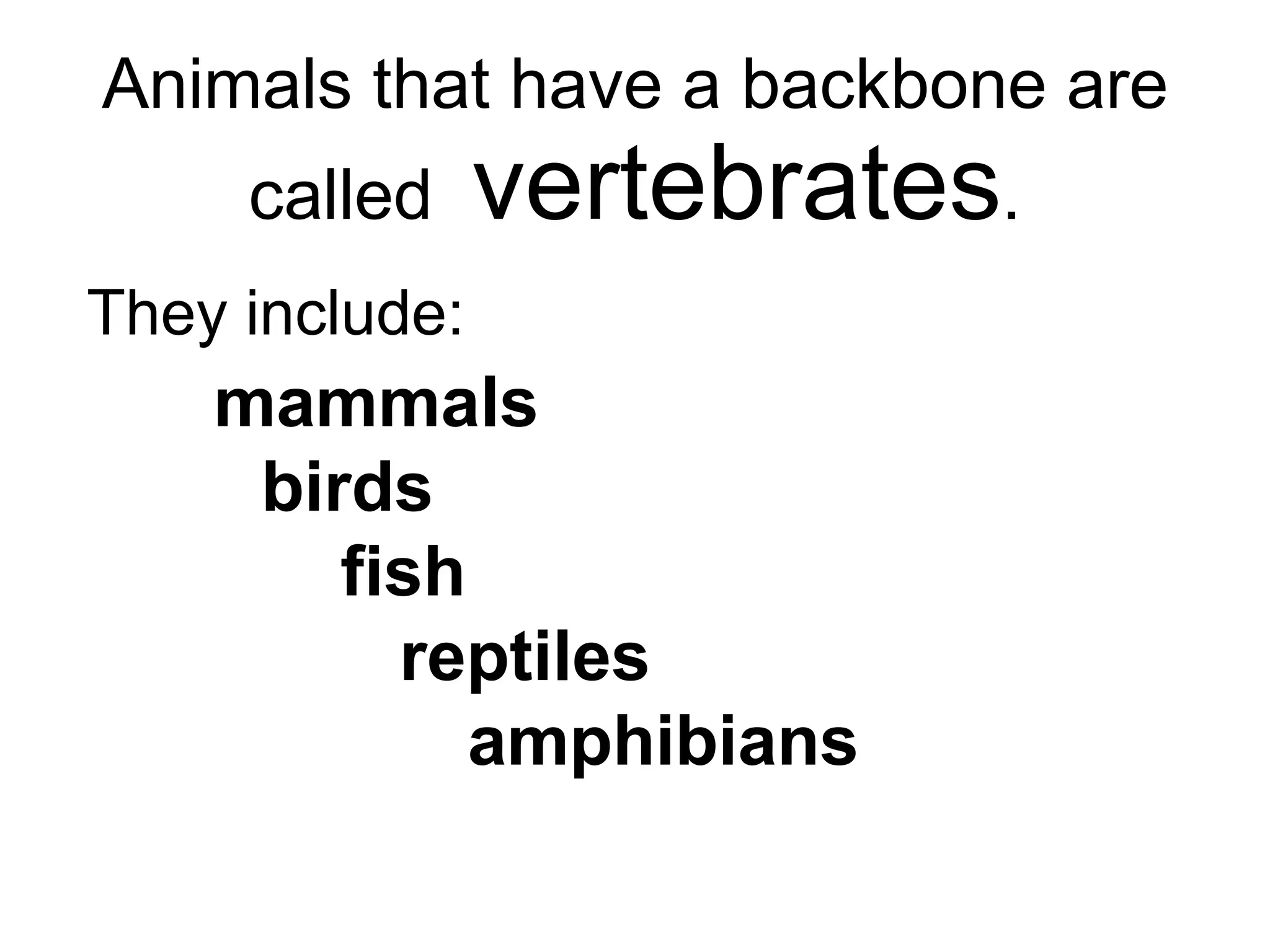 Animals that have a backbone are called  vertebrates . They include: mammals birds fish   reptiles amphibians 