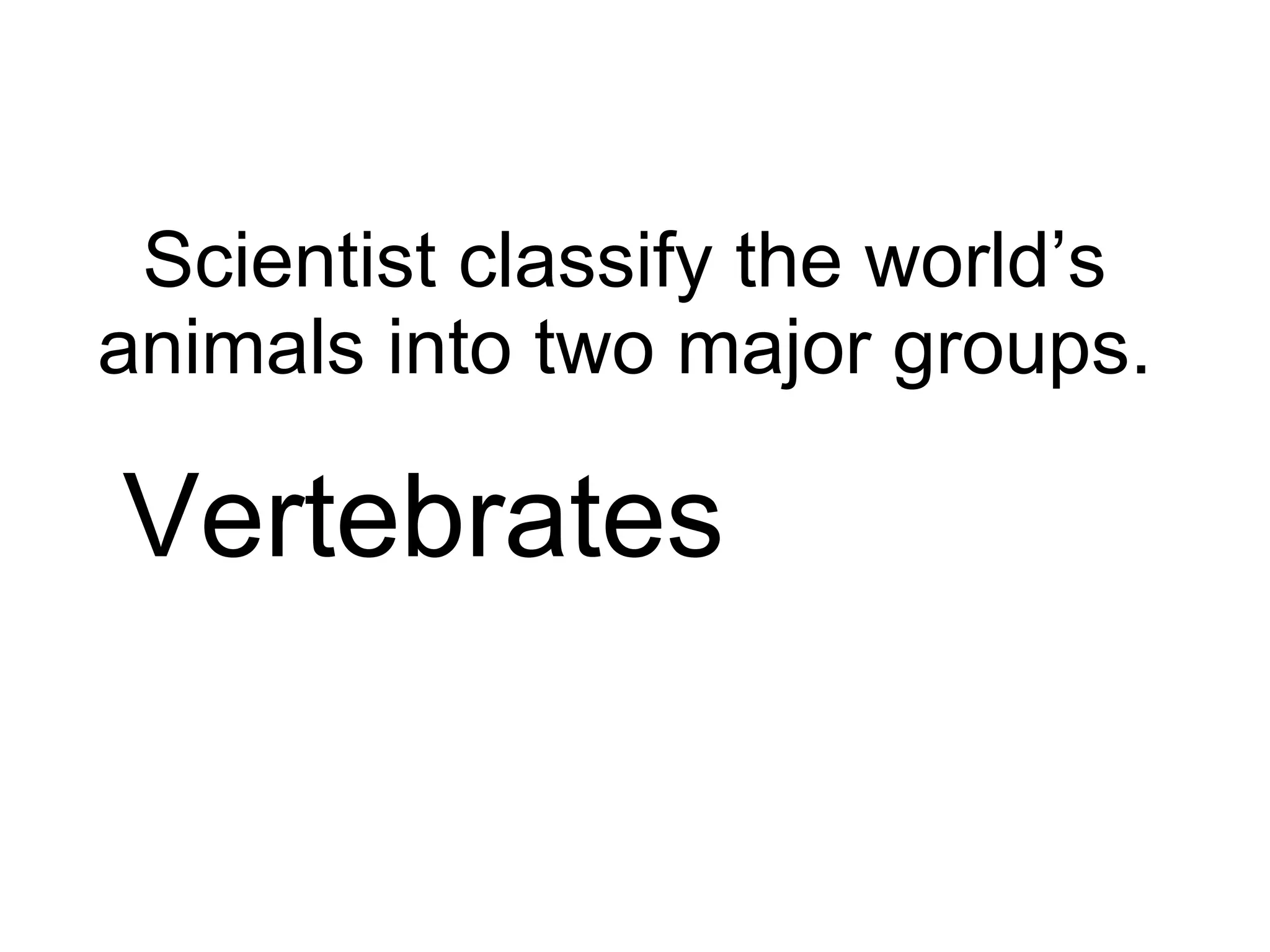 Scientist classify the world’s animals into two major groups. Vertebrates 