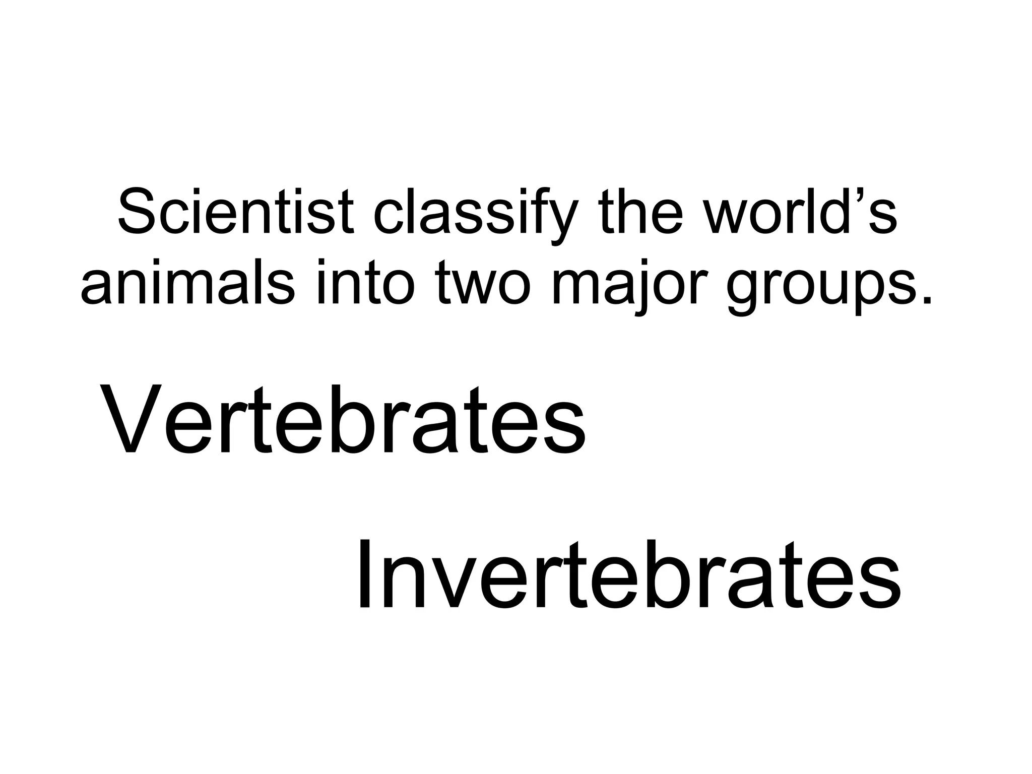 Scientist classify the world’s animals into two major groups. Vertebrates Invertebrates 