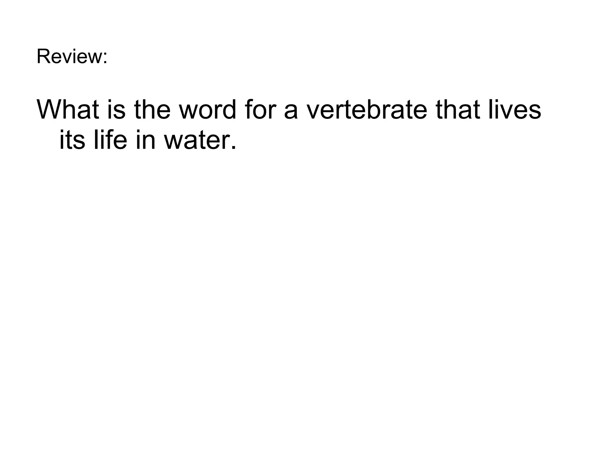 Review: What is the word for a vertebrate that lives its life in water. 