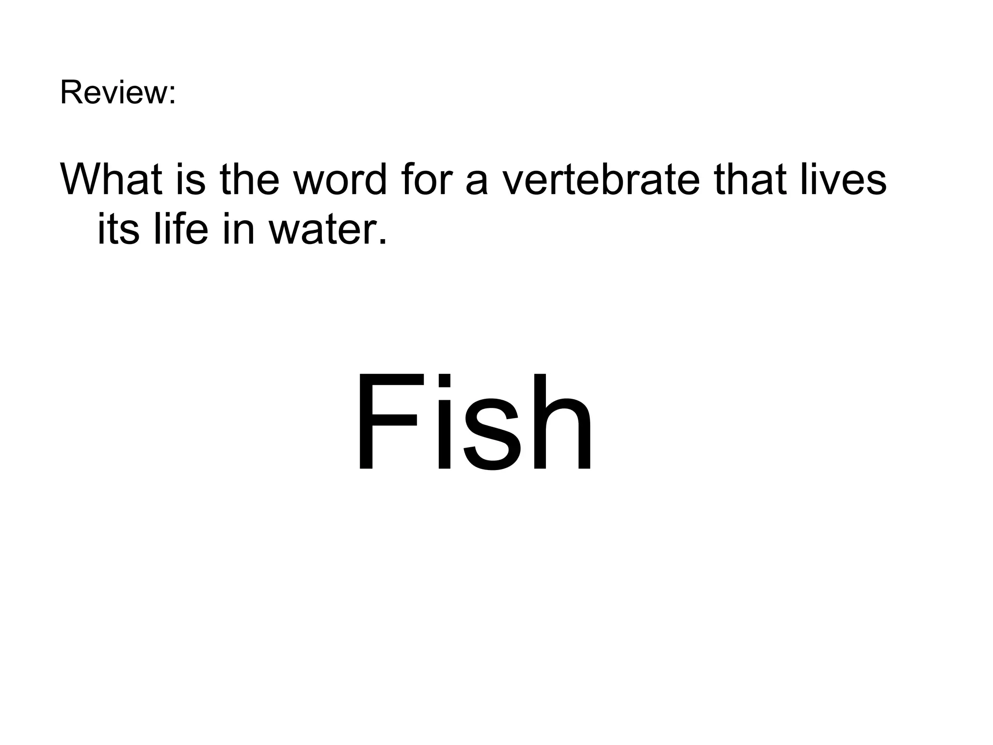 Review: What is the word for a vertebrate that lives its life in water. Fish 
