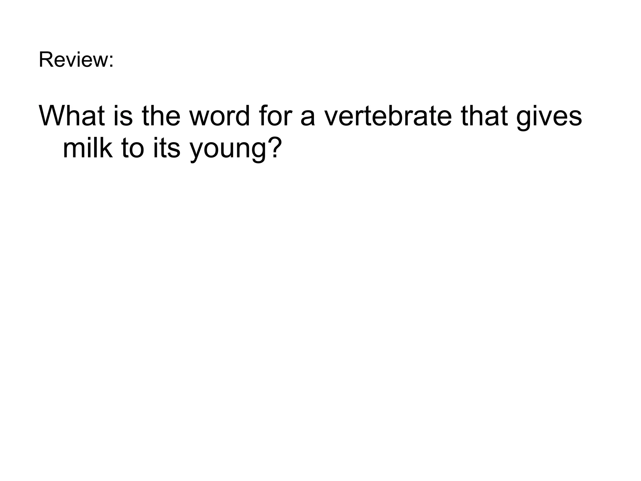 Review: What is the word for a vertebrate that gives milk to its young? 