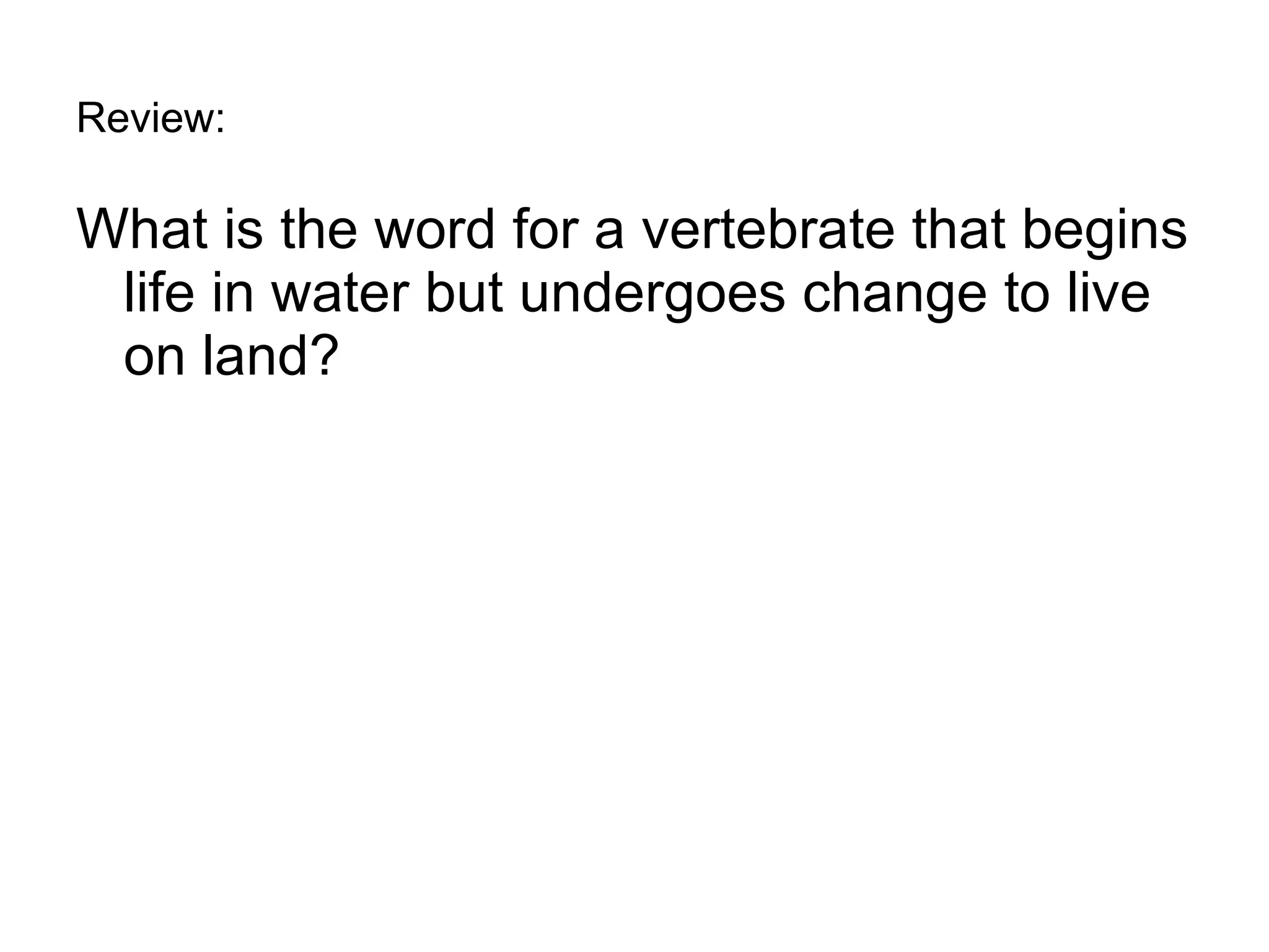 Review: What is the word for a vertebrate that begins life in water but undergoes change to live on land? 