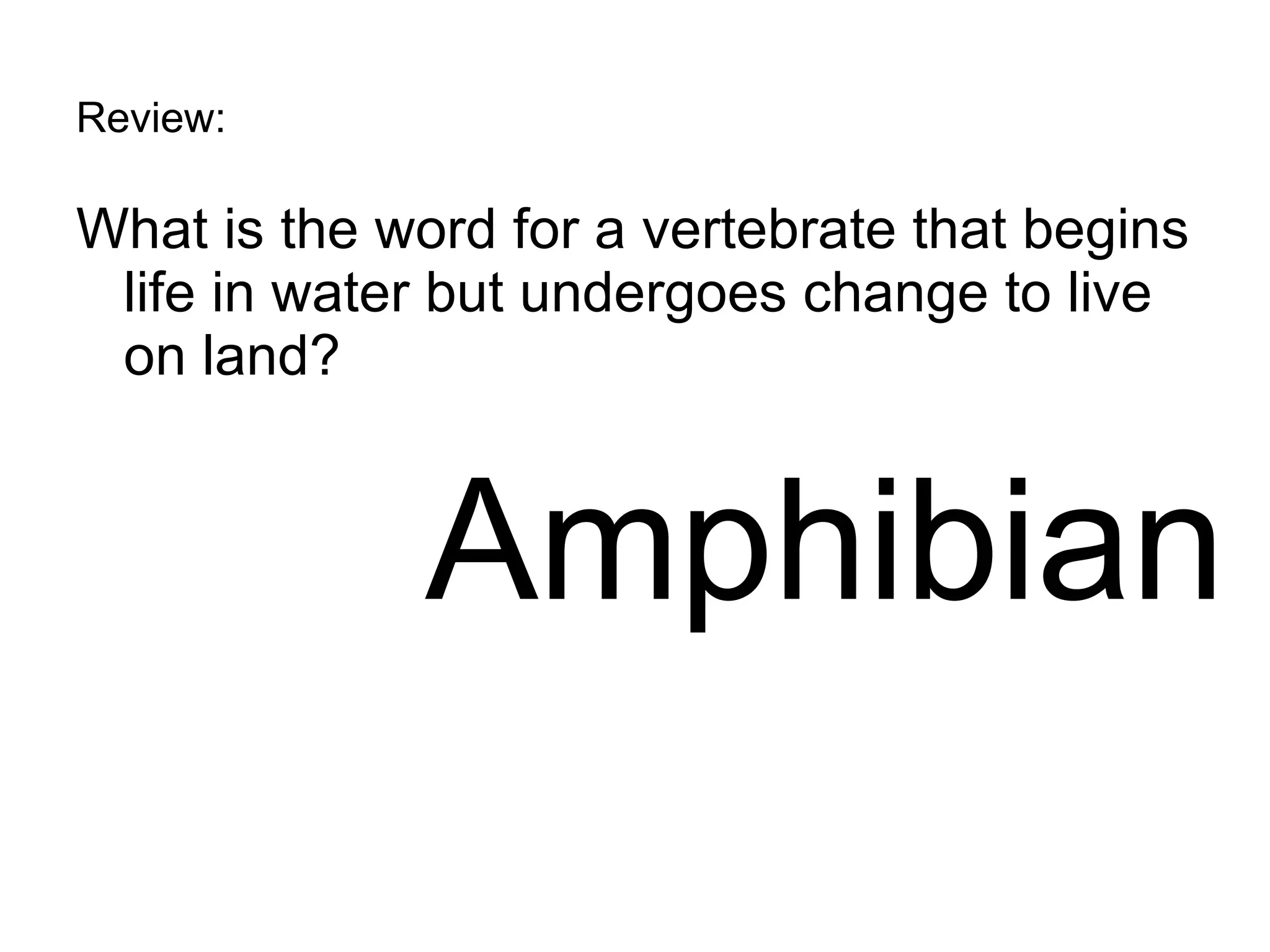 Review: What is the word for a vertebrate that begins life in water but undergoes change to live on land? Amphibian 