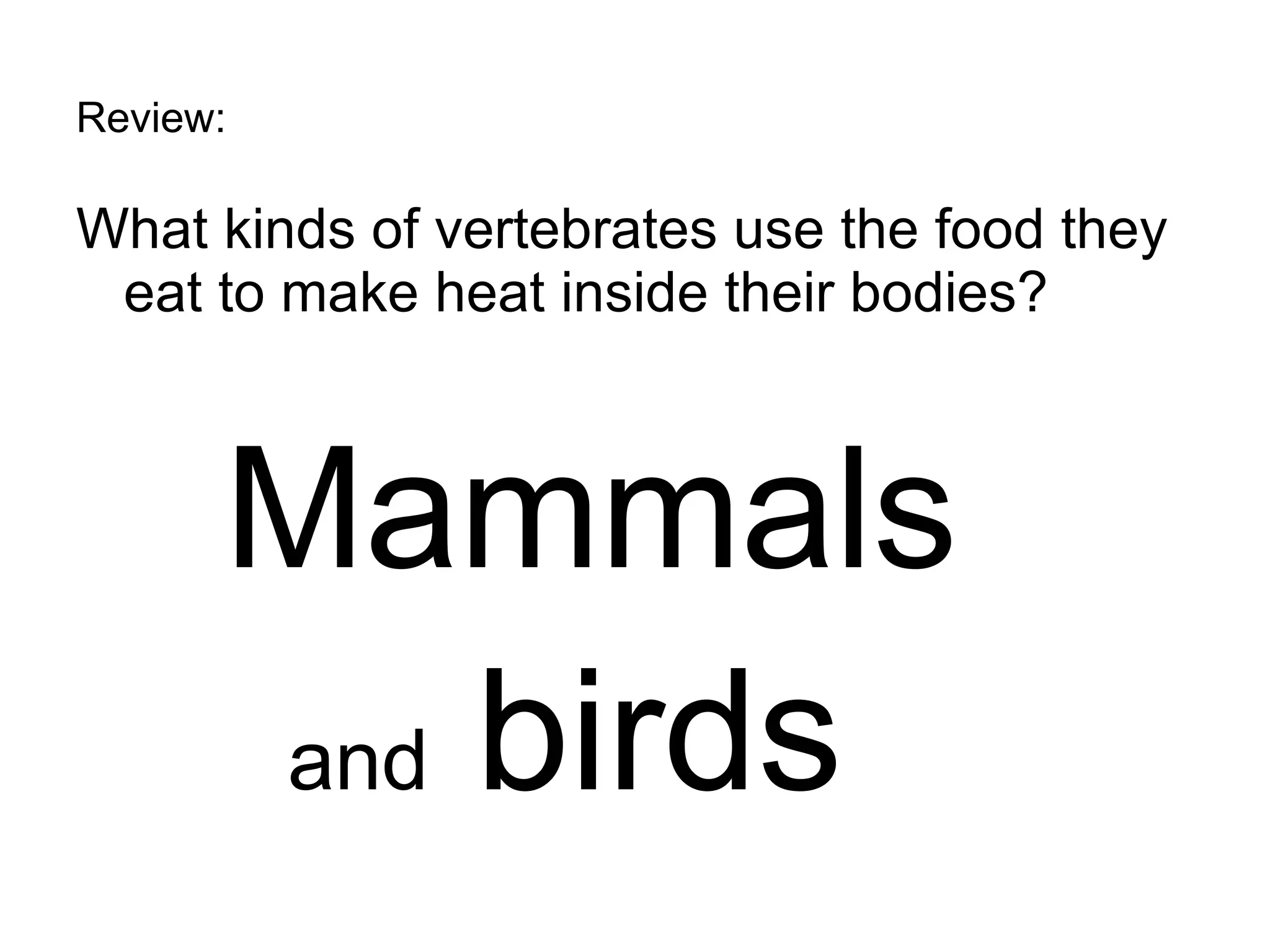 Review: What kinds of vertebrates use the food they eat to make heat inside their bodies? Mammals and  birds 