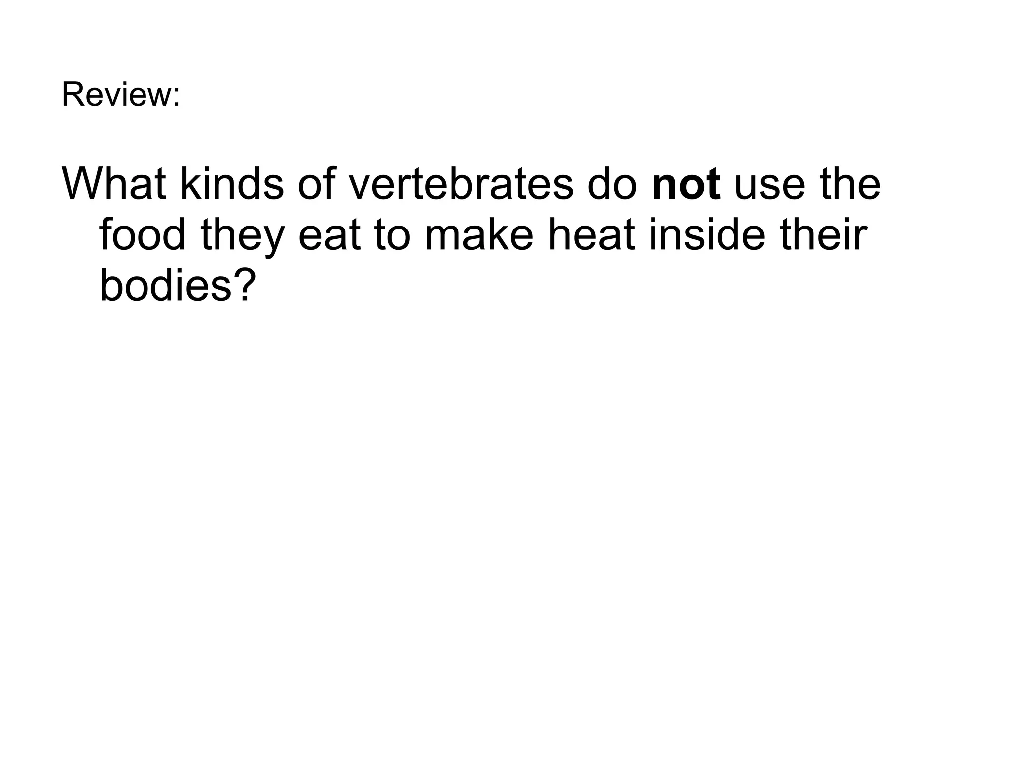Review: What kinds of vertebrates do  not  use the food they eat to make heat inside their bodies? 