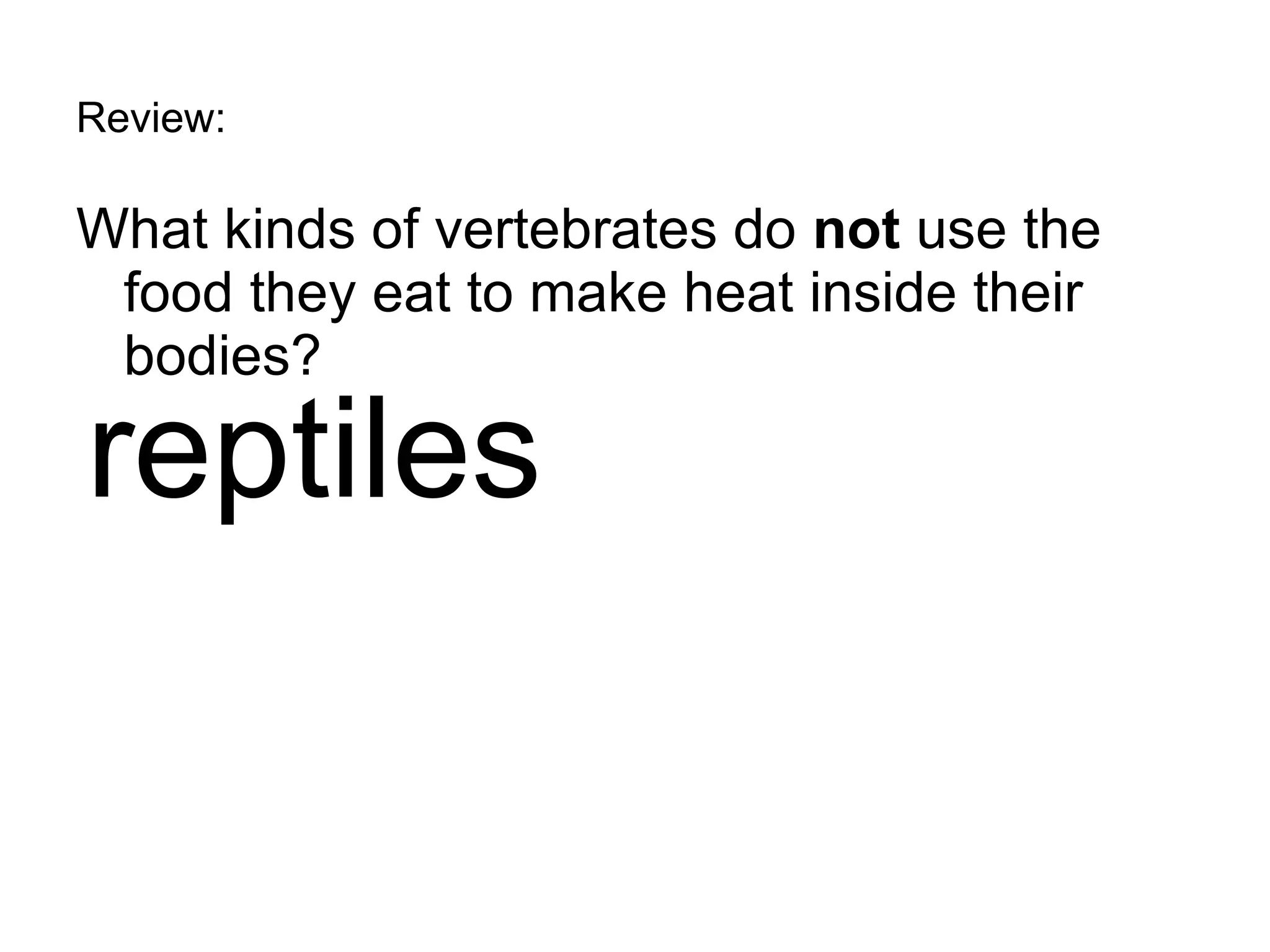 Review: What kinds of vertebrates do  not  use the food they eat to make heat inside their bodies? reptiles 