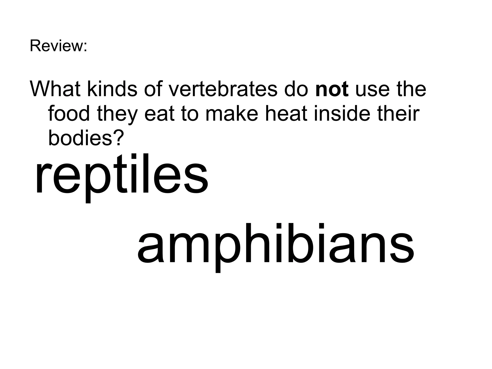 Review: What kinds of vertebrates do  not  use the food they eat to make heat inside their bodies? reptiles amphibians 