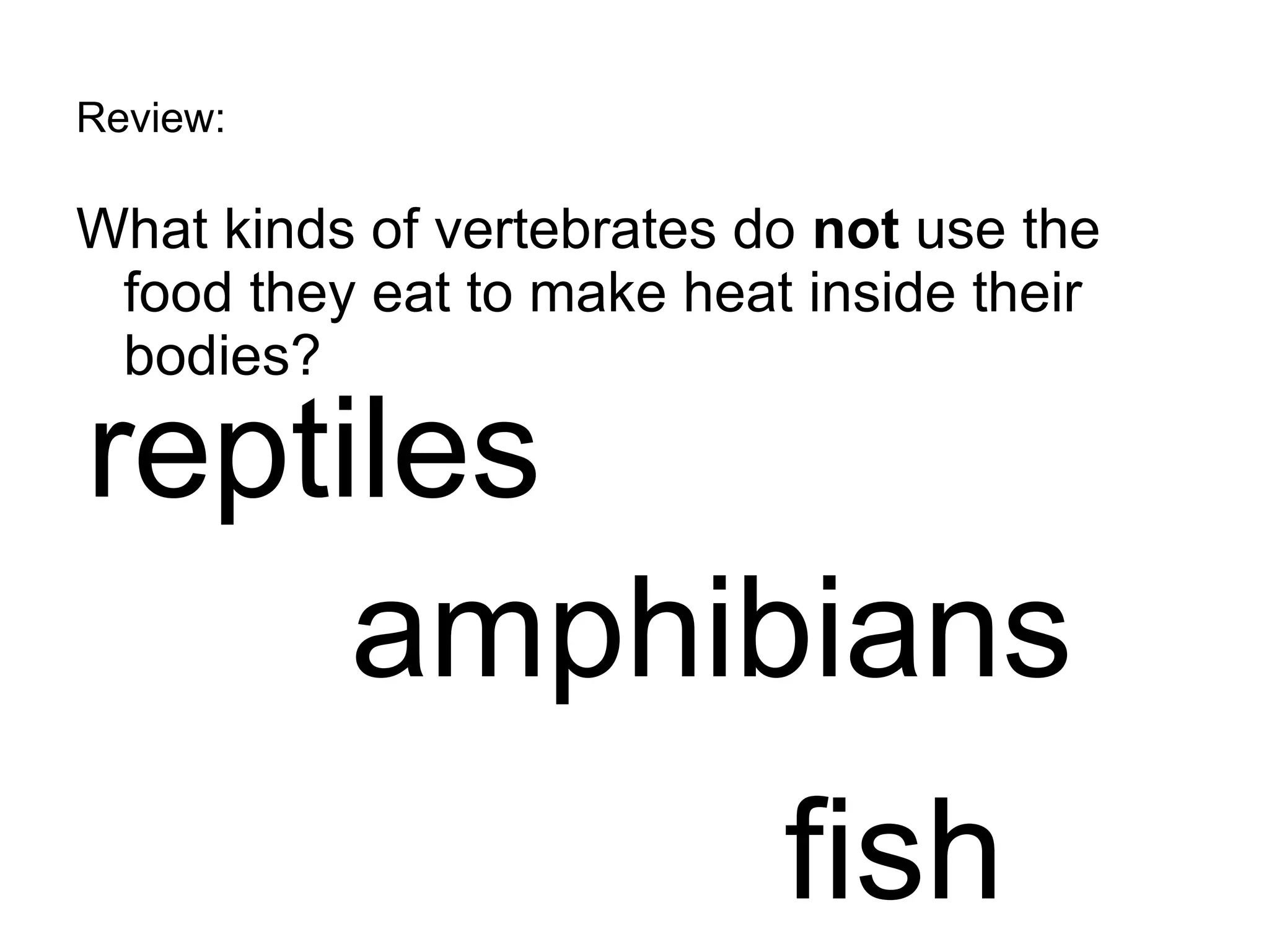 Review: What kinds of vertebrates do  not  use the food they eat to make heat inside their bodies? fish reptiles amphibians 