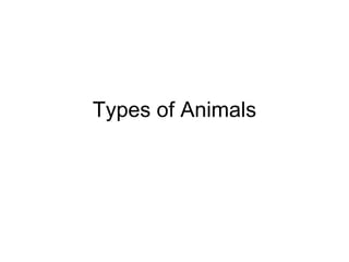 Types of Animals 