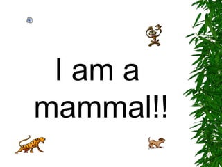 I am a mammal!! 