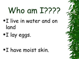 Who am I???? I live in water and on land I lay eggs. I have moist skin. 