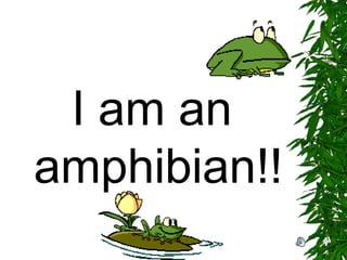 I am an amphibian!! 