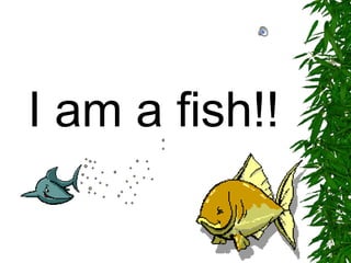 I am a fish!! 
