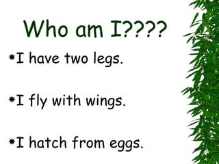 Who am I???? I have two legs. I fly with wings. I hatch from eggs. 
