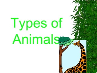 Types of Animals 