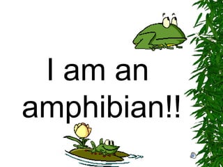 <ul><li>I am an amphibian!! </li></ul>