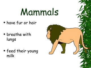 Types of animals