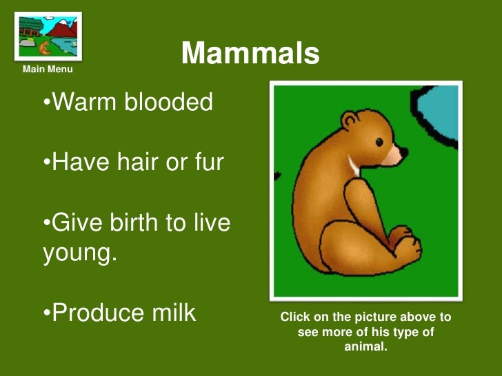 Types Of Animals Assign10