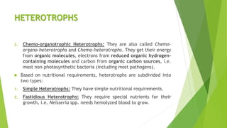 Types of Bacteria | PDF