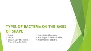 Types of Bacteria | PDF