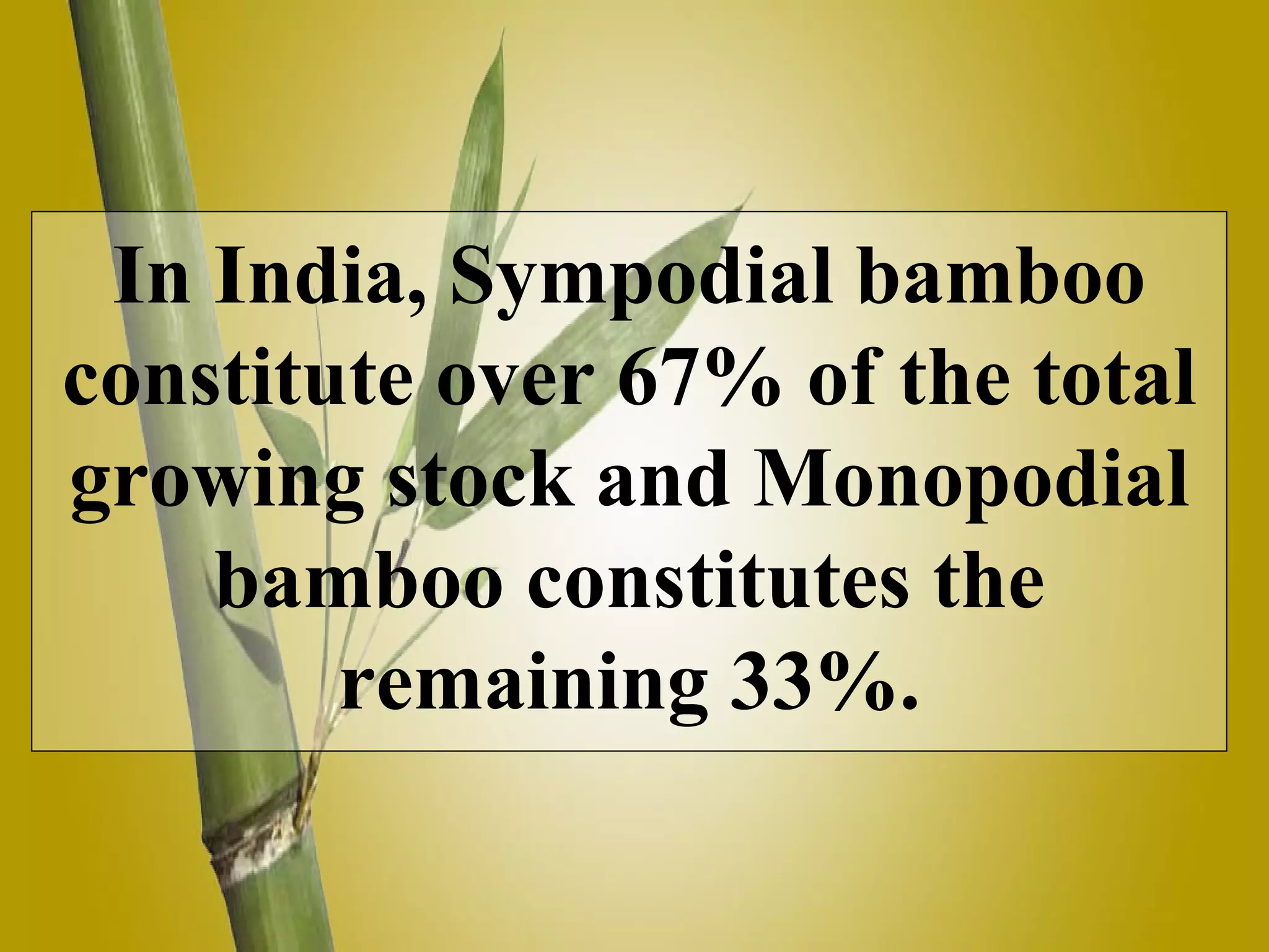 In India, Sympodial bamboo constitute over 67% of the total growing stock and Monopodial bamboo constitutes the remaining 33%.
