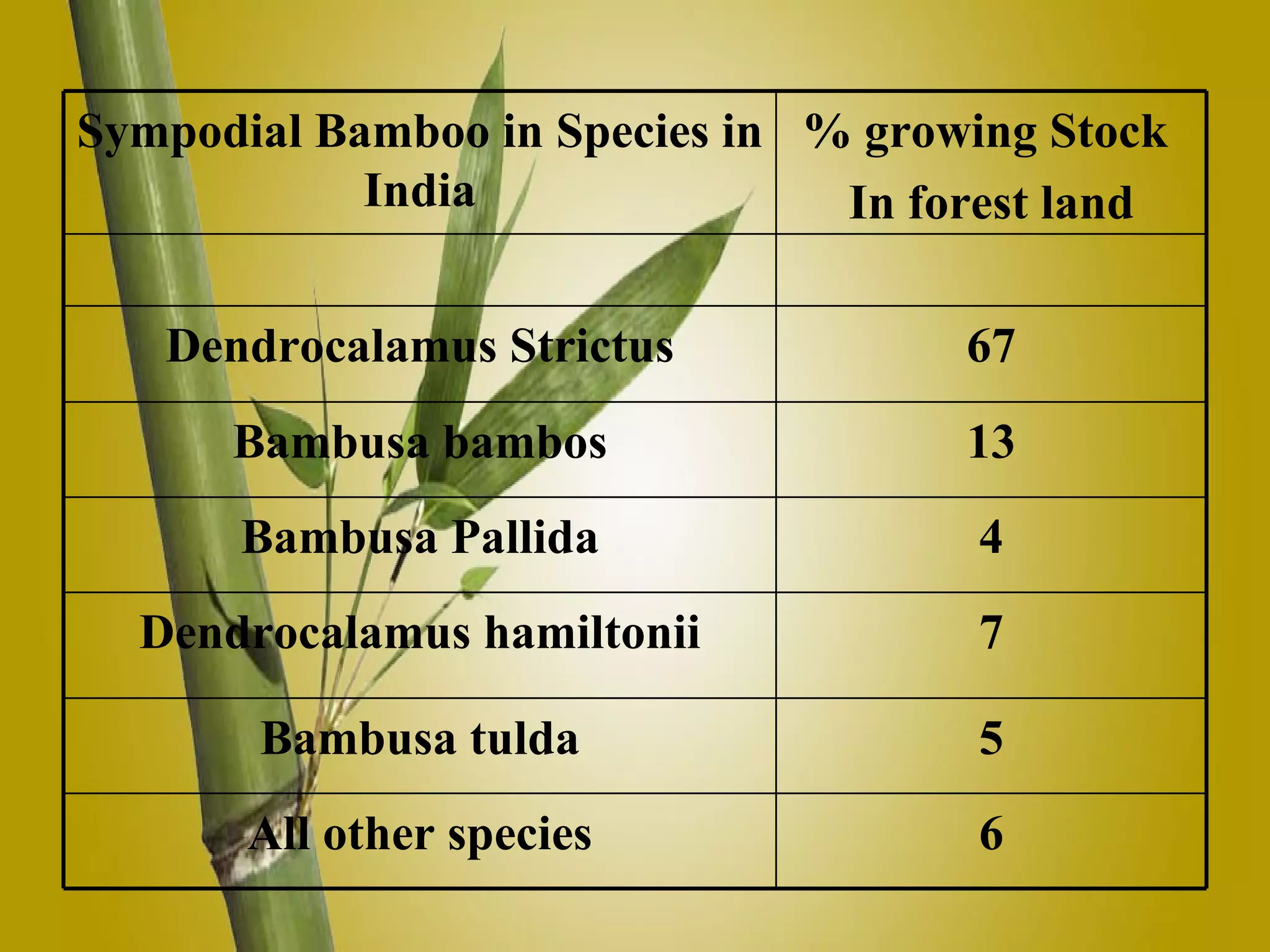 5 Bambusa tulda 6 All other species 4 Bambusa Pallida 7 Dendrocalamus hamiltonii 13 Bambusa bambos 67 Dendrocalamus Strictus % growing Stock In forest land Sympodial Bamboo in Species in India