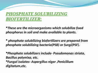 TYPES OF BIOFERTILIZER, ROLL No., (61, 63).pptx