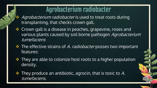 Types of biopesticides | PPTX